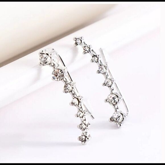 Silver Rhinestone  Earrings  - Picture 1 of 5